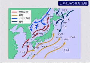 日本の周りを流れる海流 潮の流れ 魚食普及推進センター 一般社団法人 大日本水産会