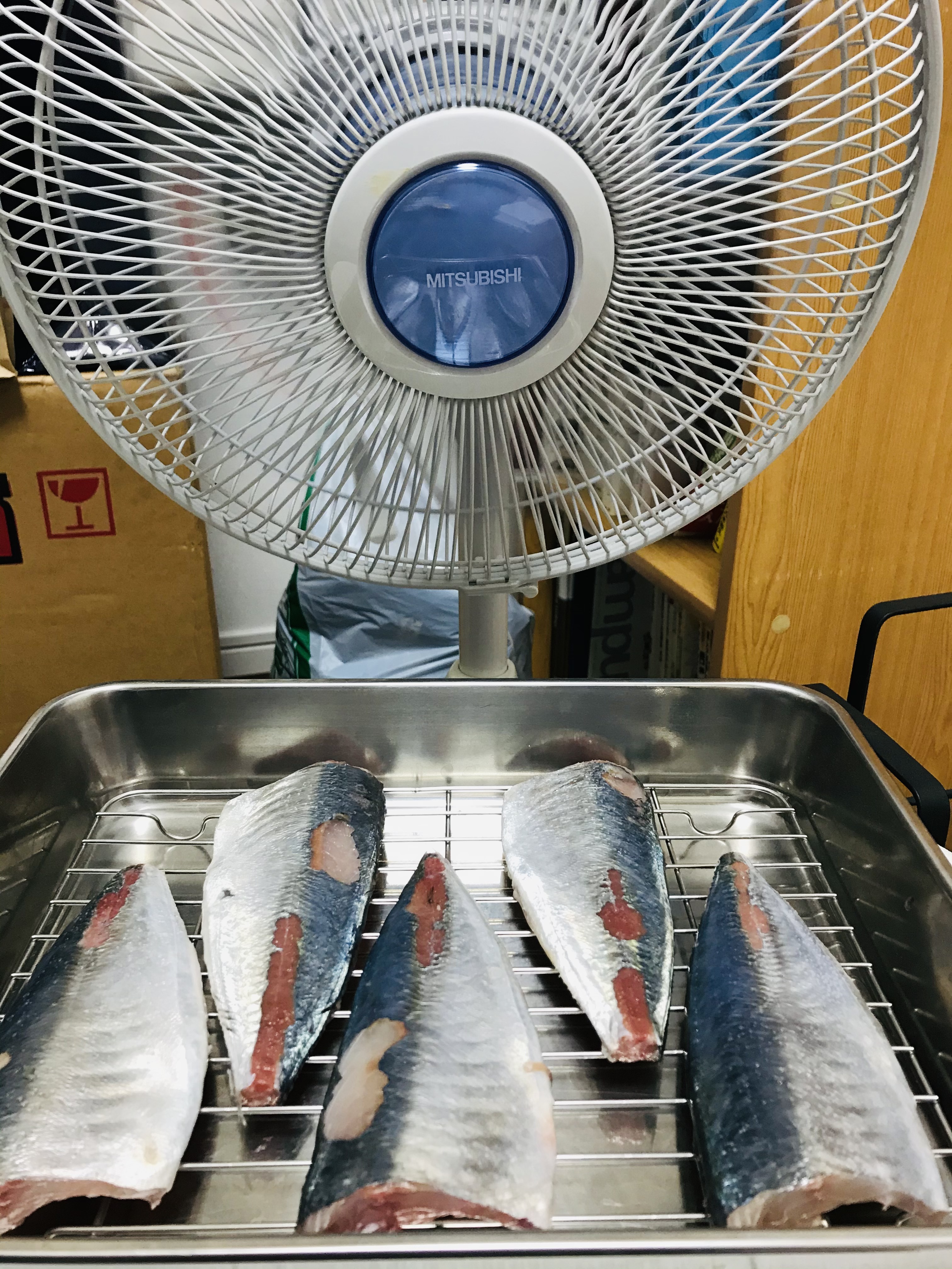 アジの干物を作ってみよう 魚食普及推進センター 一般社団法人 大日本水産会