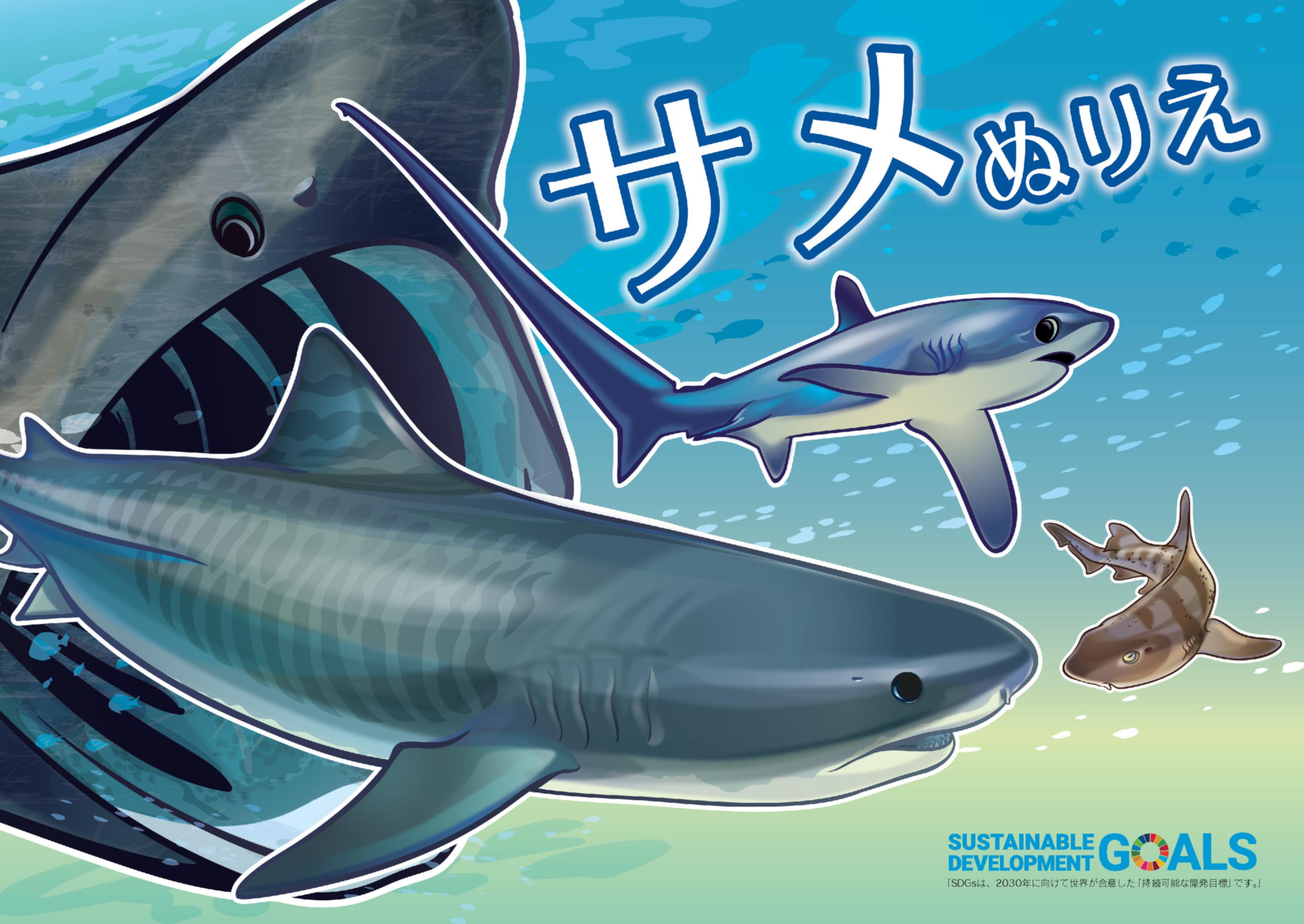 サメ 魚食普及推進センター 一般社団法人 大日本水産会