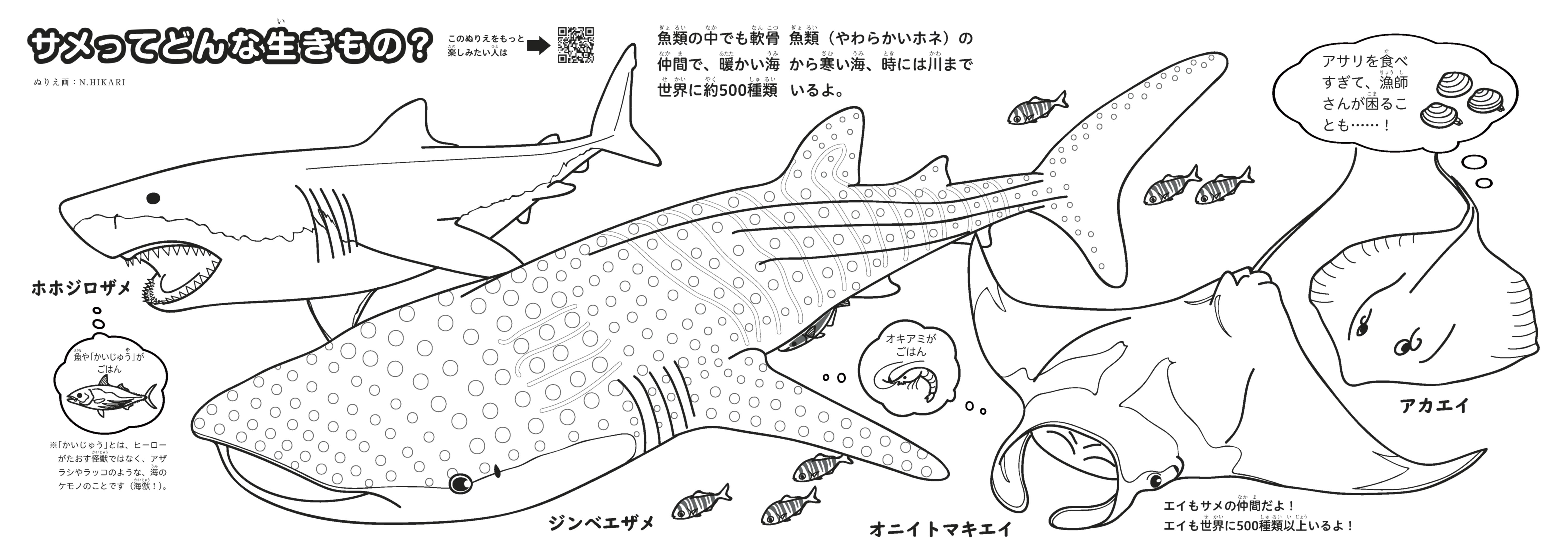 サメぬりえ 完成しました イラストもクール 魚食普及推進センター 一般社団法人 大日本水産会