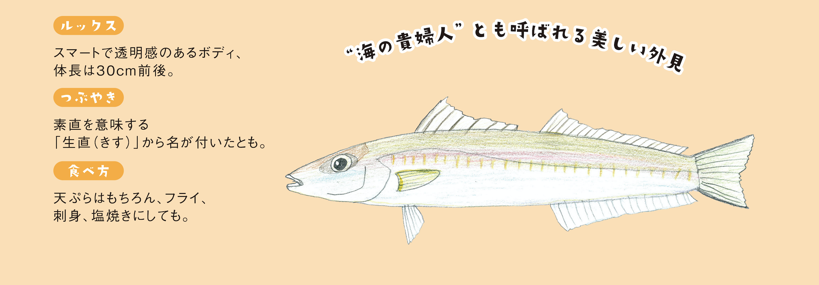 キスのチーズ風味フライ お家で簡単 魚レシピ 旬の魚介料理をお手軽に 魚食普及推進センター 一般社団法人 大日本水産会