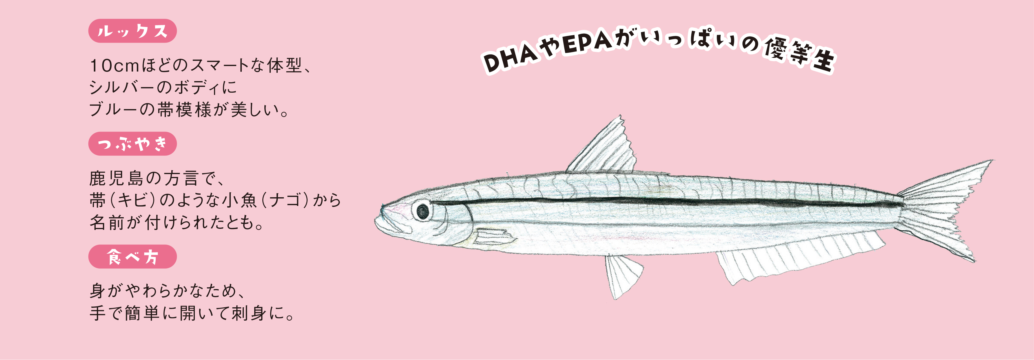 キビナゴのごまフライ お家で簡単 魚レシピ 旬の魚介料理をお手軽に 魚食普及推進センター 一般社団法人 大日本水産会