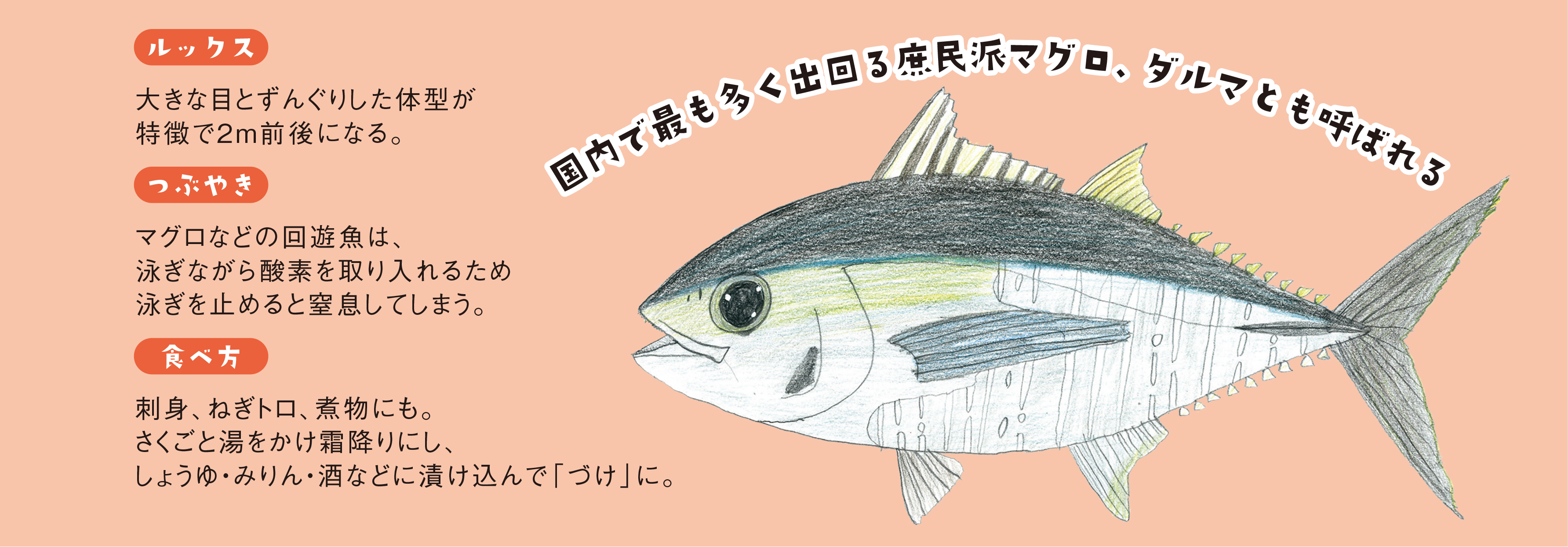 Osakana Cate お家で簡単 魚レシピ 旬の魚介料理をお手軽に 魚食普及推進センター 一般社団法人 大日本水産会