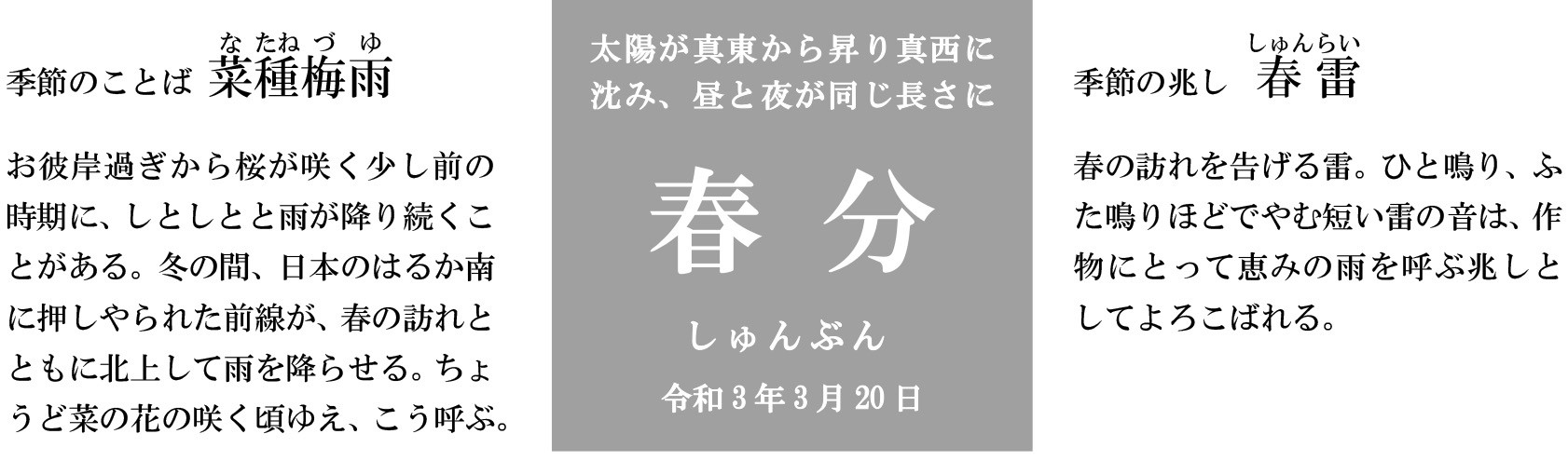 ダークブラウン 茶色 うまい魚がすべてわかる本 : 日本さかな検定公式