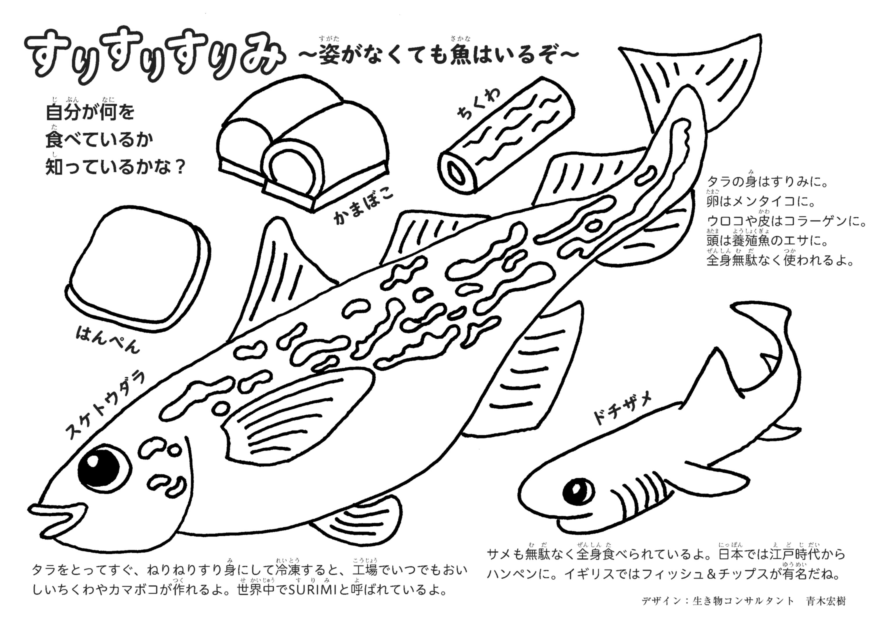 おさかなぬりえ 完成 魚食普及推進センター 一般社団法人 大日本水産会