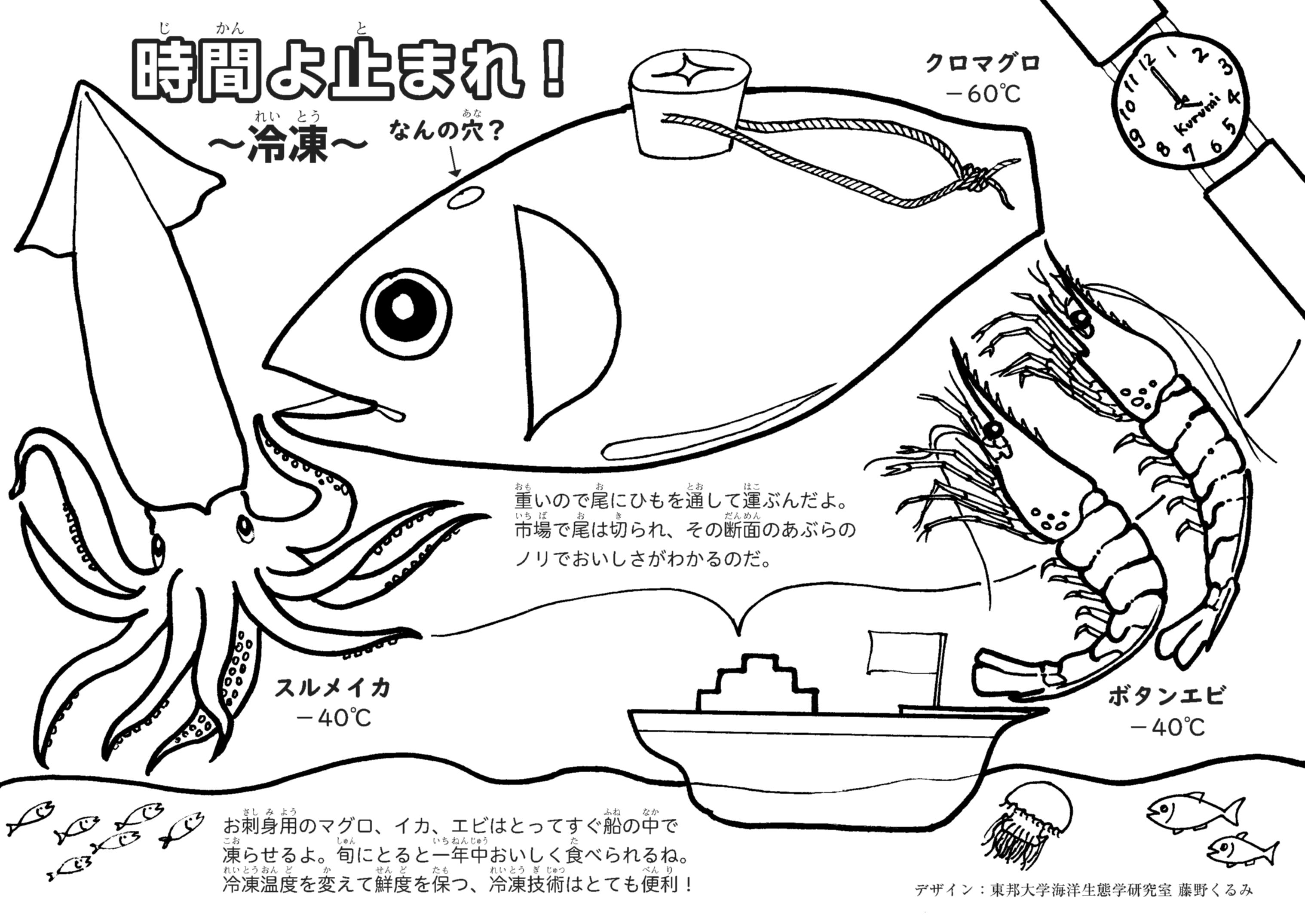 おさかなぬりえ 完成 歴史あるイラストも見てね 魚食普及推進センター 一般社団法人 大日本水産会