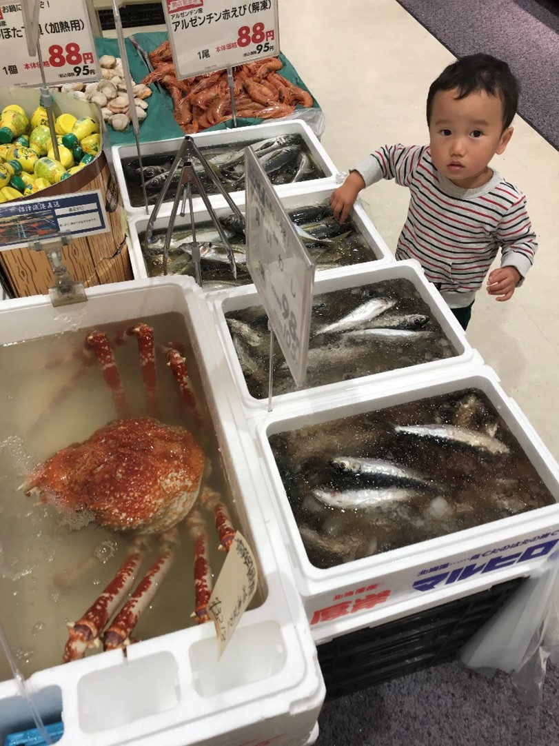 あなたの隣に深海生物 活タカアシガニ4 3kgをスーパーで発見 その時あなたは 魚食普及推進センター 一般社団法人 大日本水産会