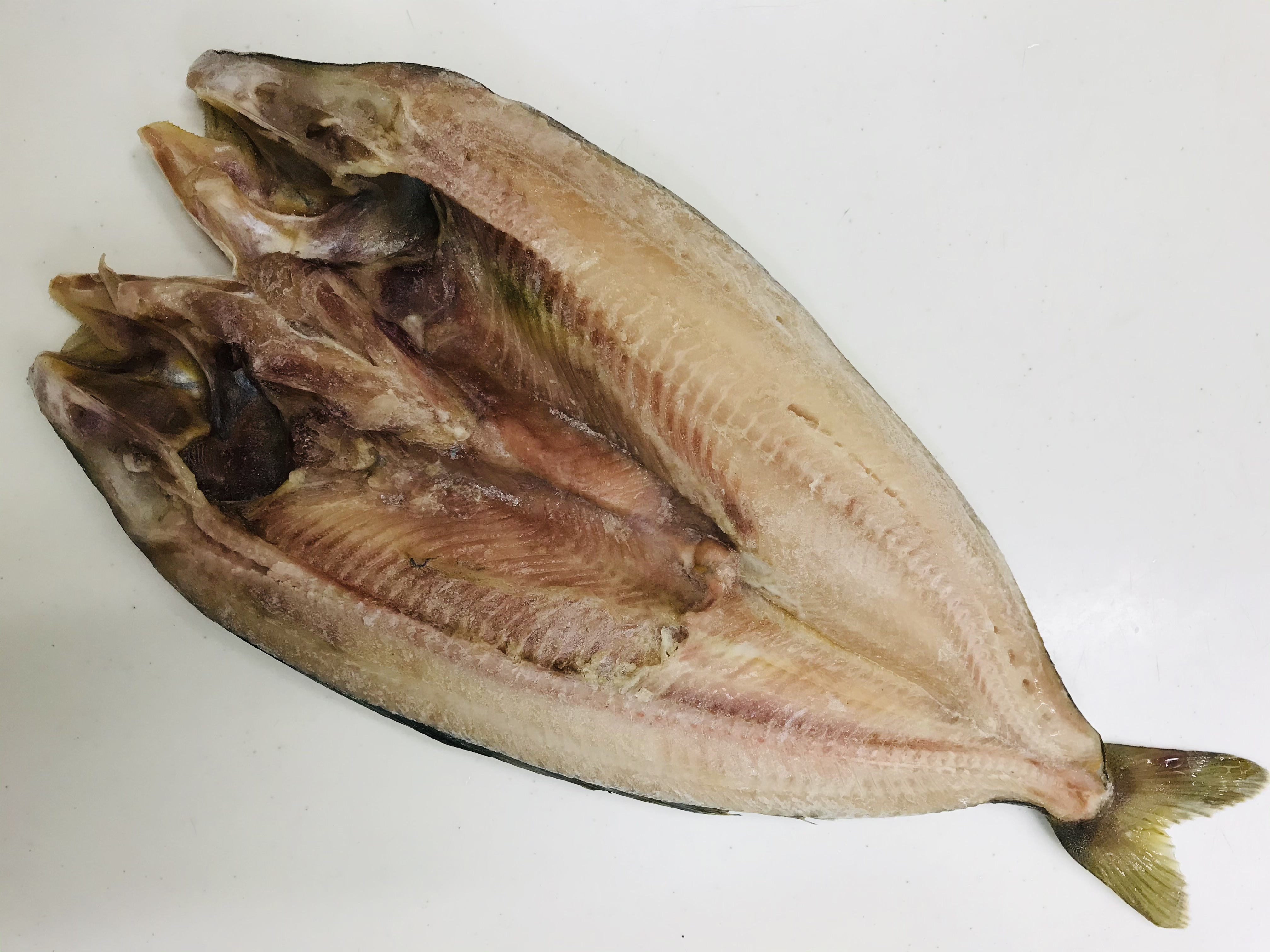 ホッケの開き 干物から魚の体の仕組みを知ろう 魚食普及推進センター 一般社団法人 大日本水産会