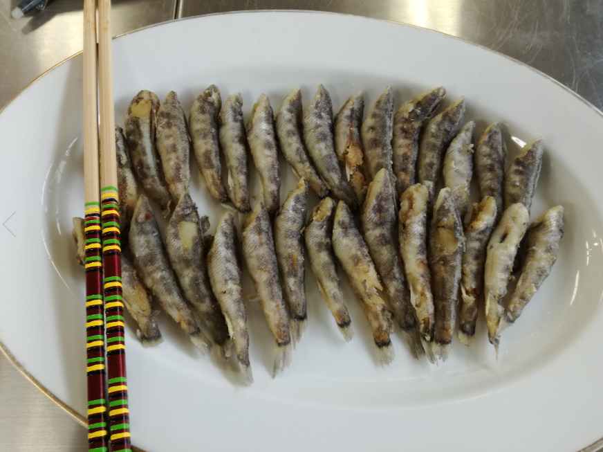 魚をさばく メヒカリは並べて冷凍 そして唐揚げや天ぷらに 魚食普及推進センター 一般社団法人 大日本水産会