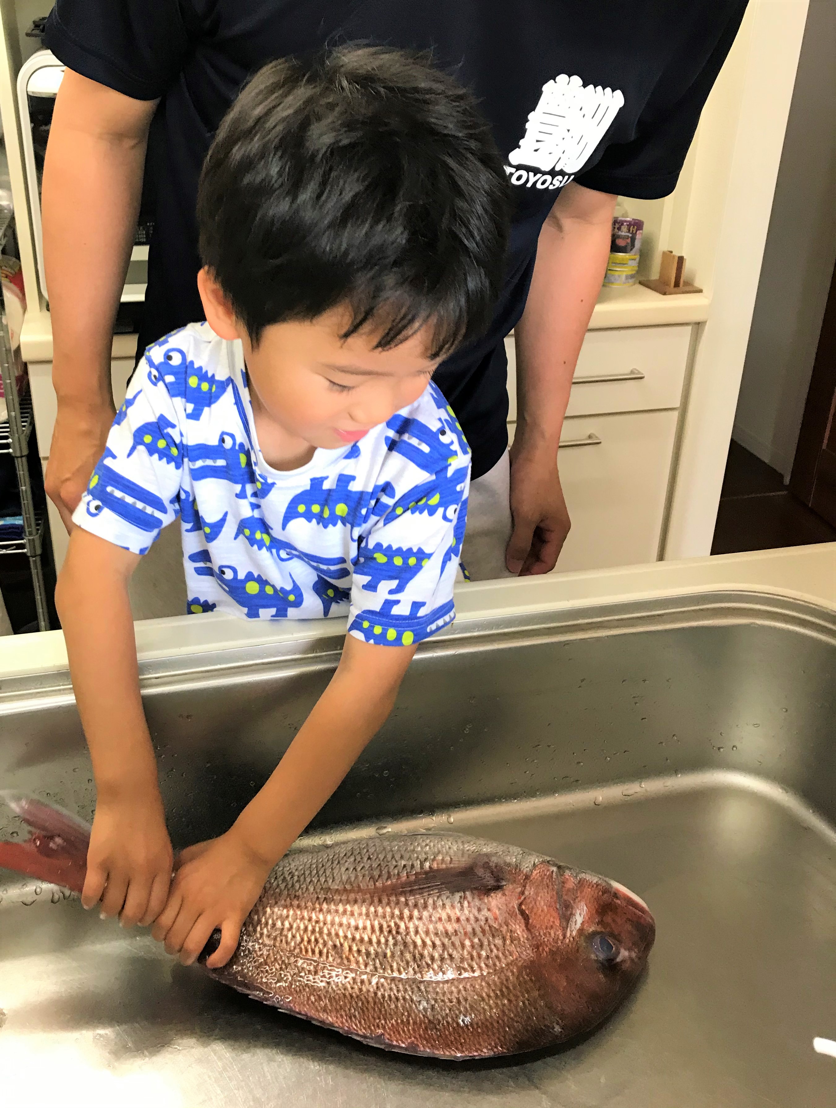 締め切りました 教育関係者向け 魚で食育 第一弾 鯛とアサリを児童と楽しむ 魚食普及推進センター 一般社団法人 大日本水産会