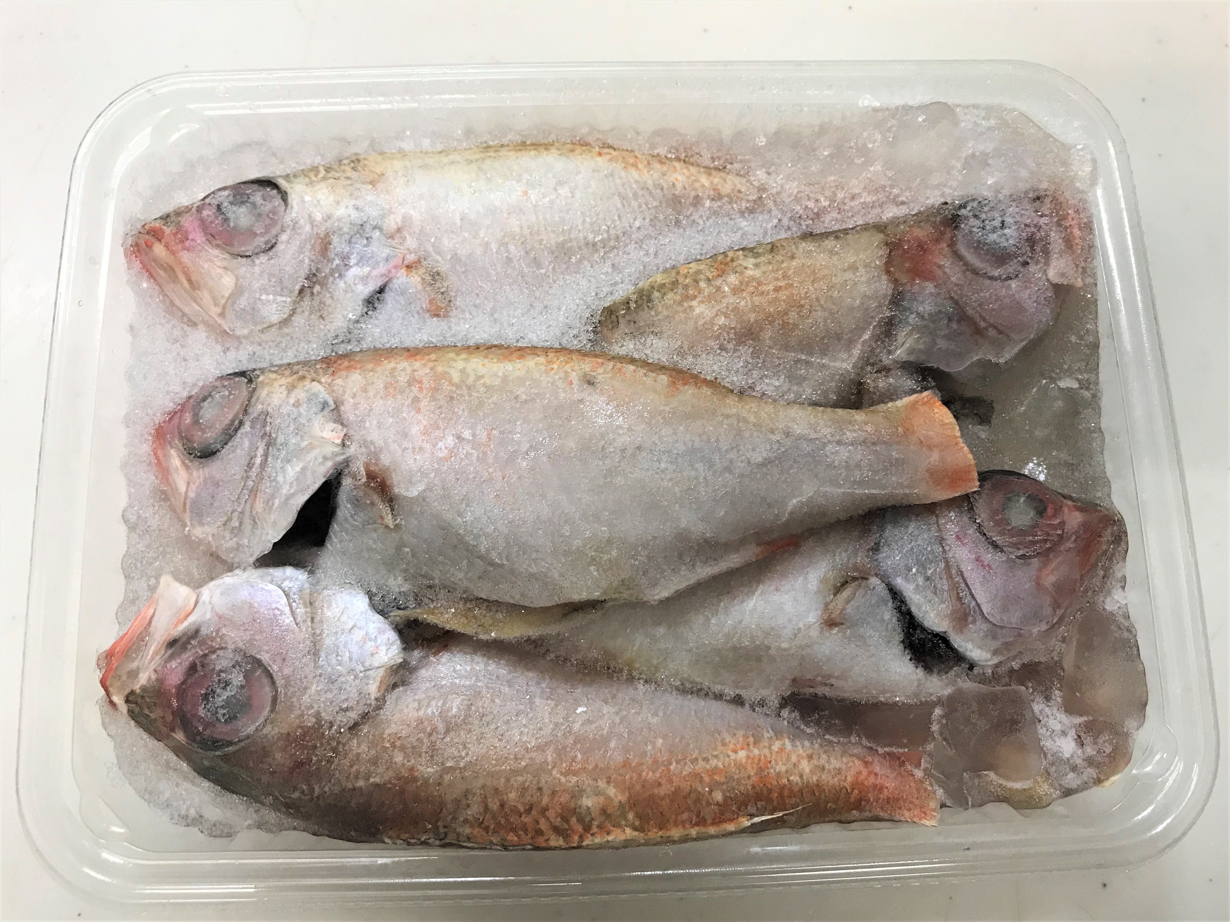 魚をさばく ノドグロ アカムツ 編 魚食普及推進センター 一般社団法人 大日本水産会