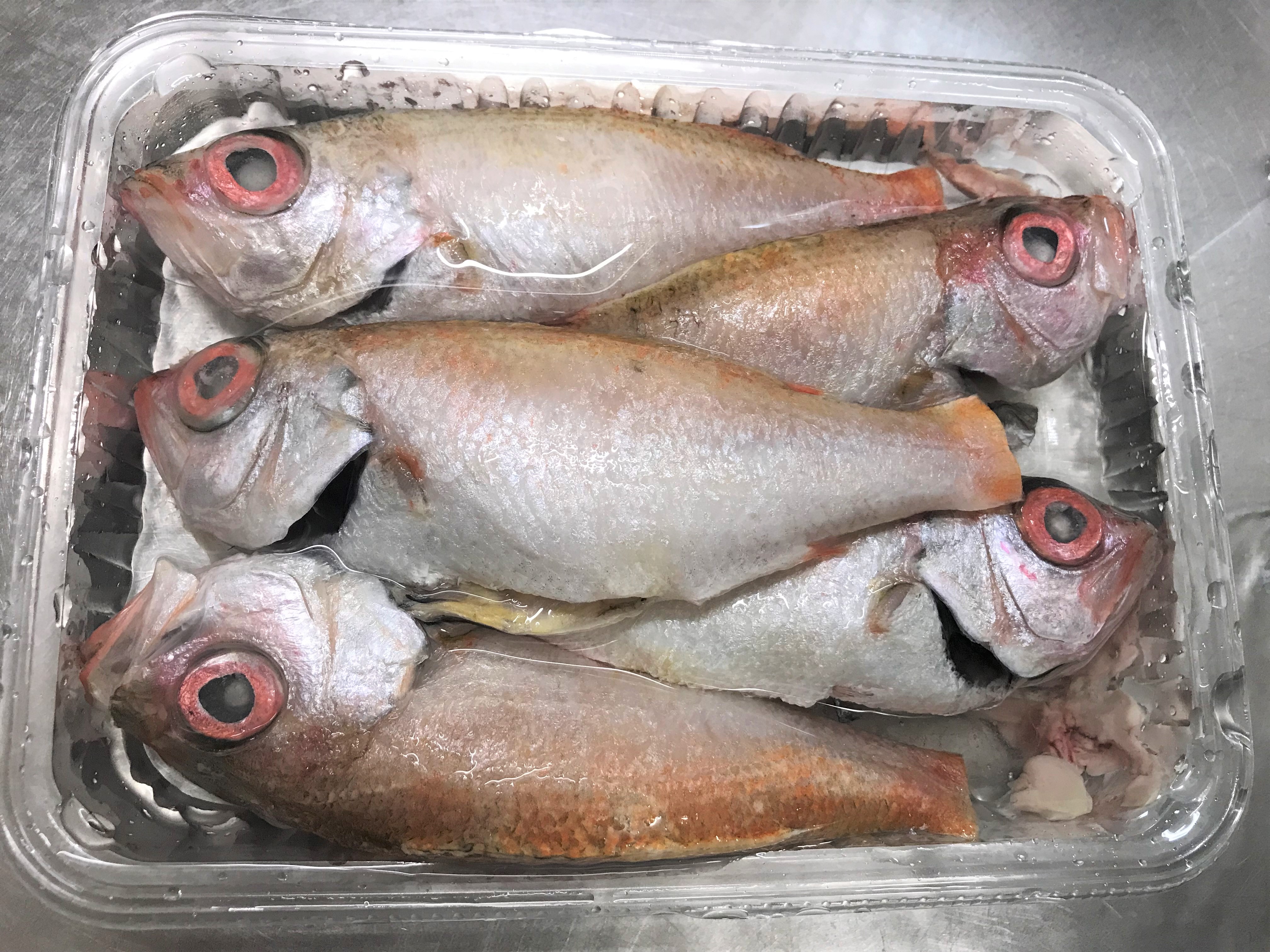 魚をさばく ノドグロ アカムツ 編 魚食普及推進センター 一般社団法人 大日本水産会