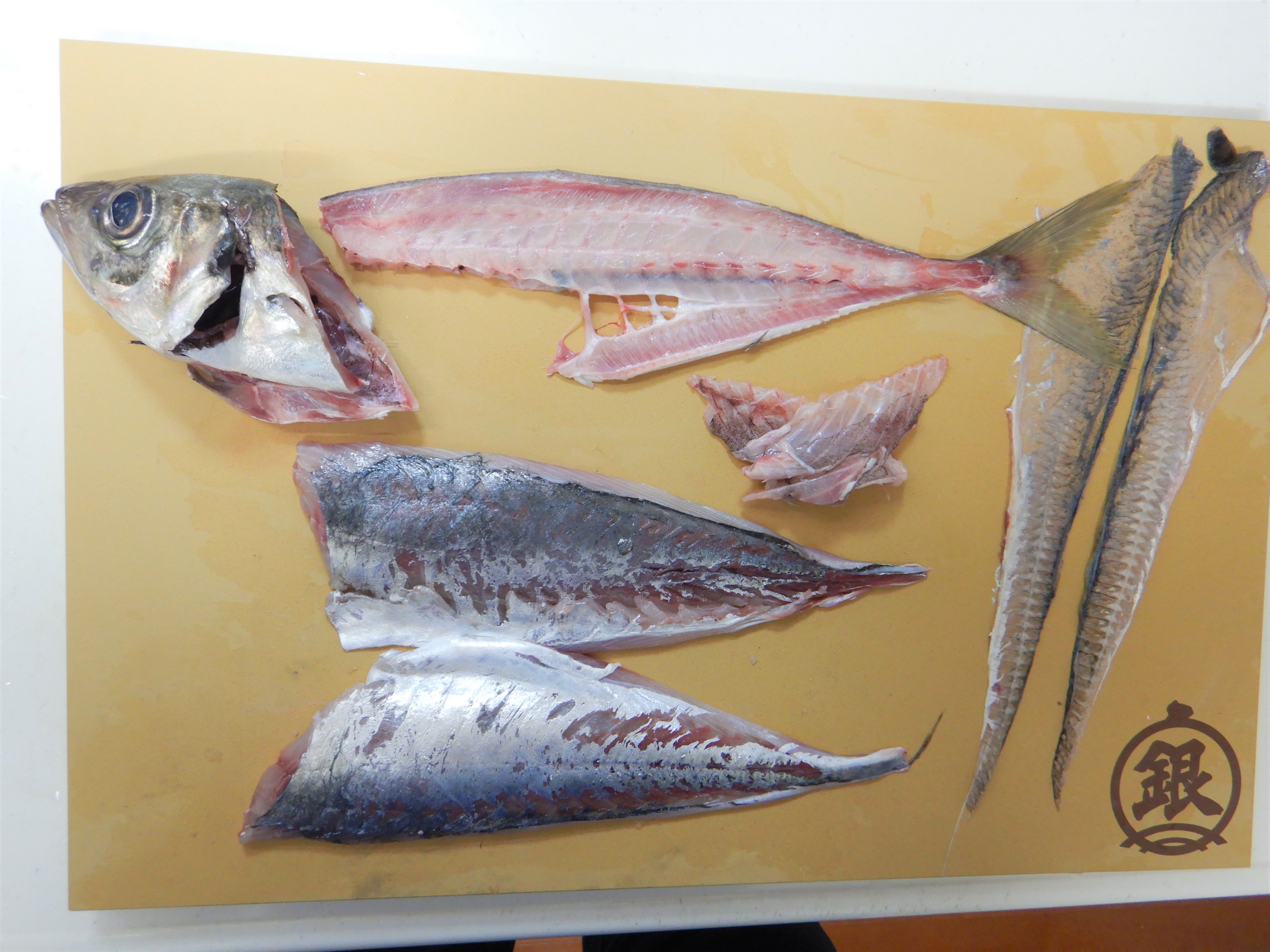 丸魚を上手に食べてsdgｓ フードロスで地球を守れる 魚食普及推進センター 一般社団法人 大日本水産会
