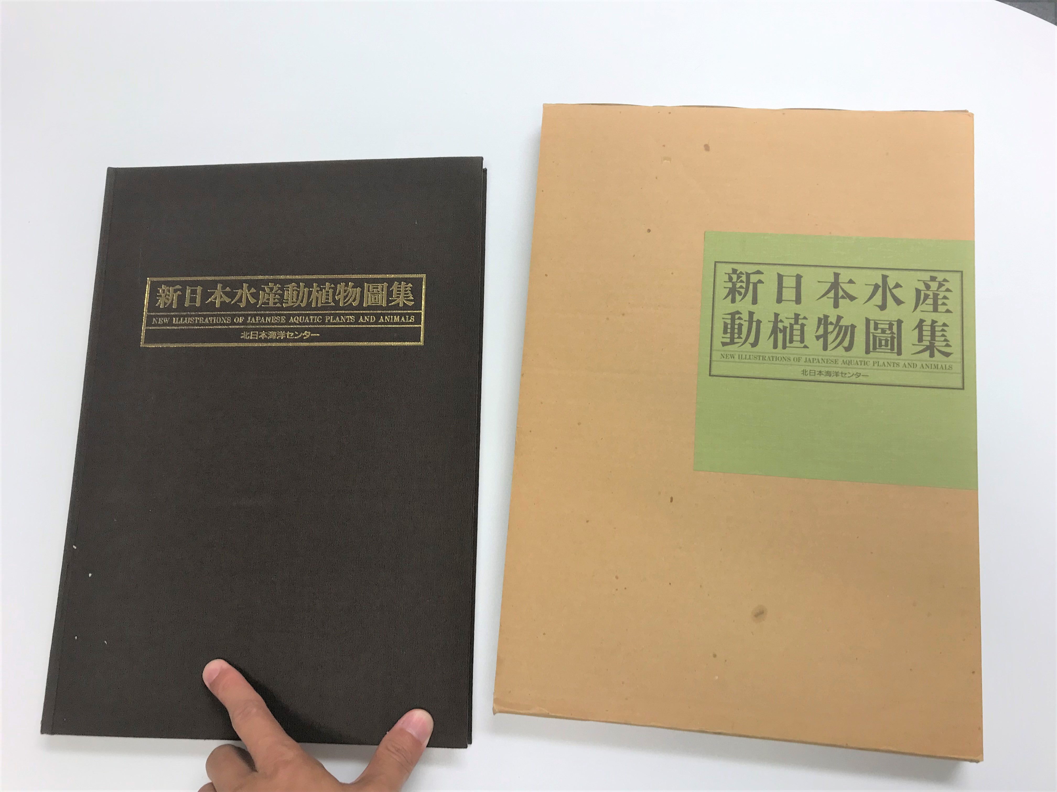 日本水産動植物圖集・日本重要水産動物圖 明治～昭和初期に大日本水産