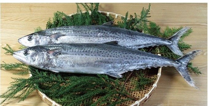 メルマガ ととけんの 魚の知識の腕試し 21 01 21 12 魚食普及推進センター 一般社団法人 大日本水産会