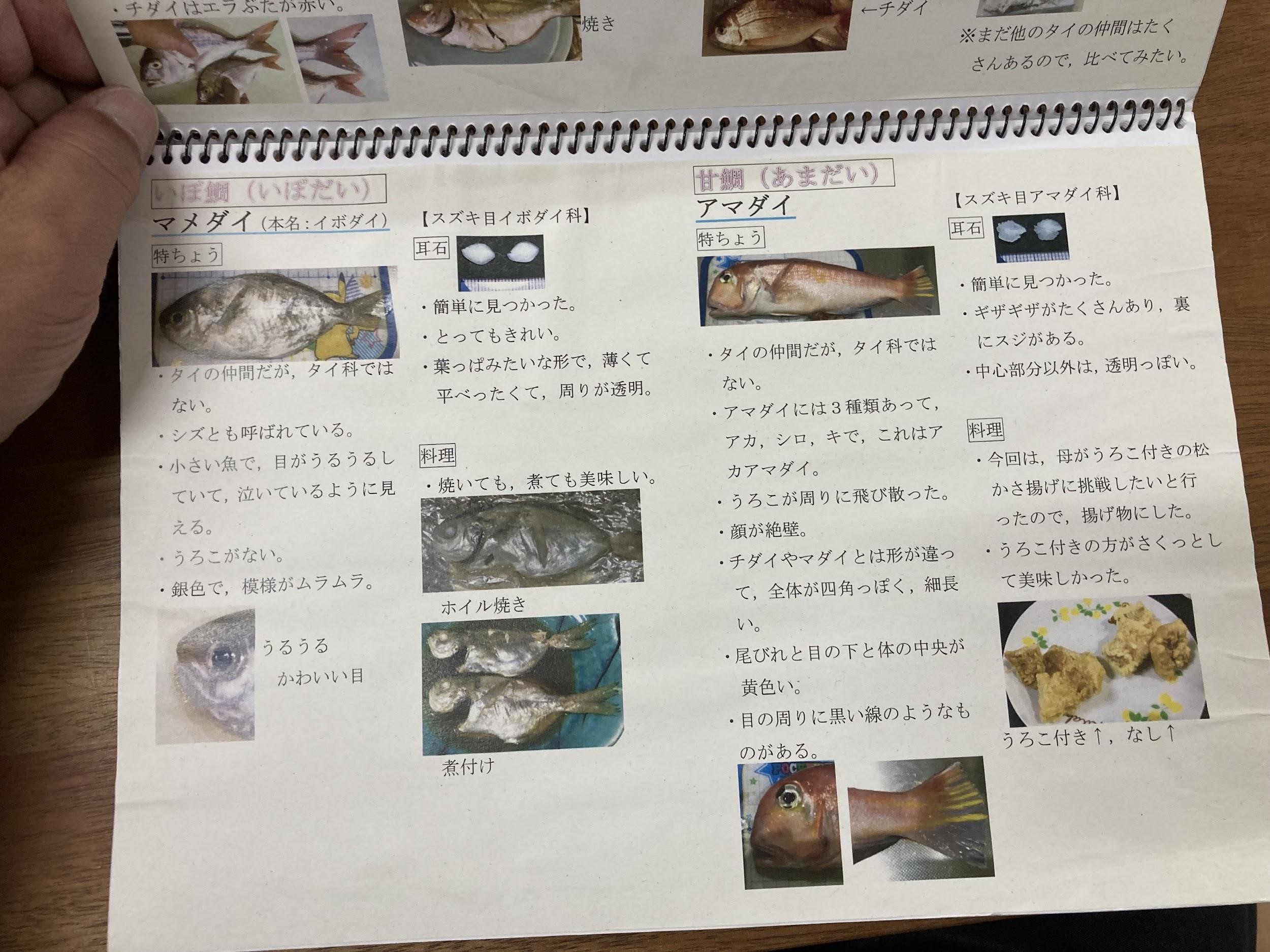 シリーズ 耳石ハンターのすすめ 美味しく 楽しく お魚を食べる 魚食普及推進センター 一般社団法人 大日本水産会