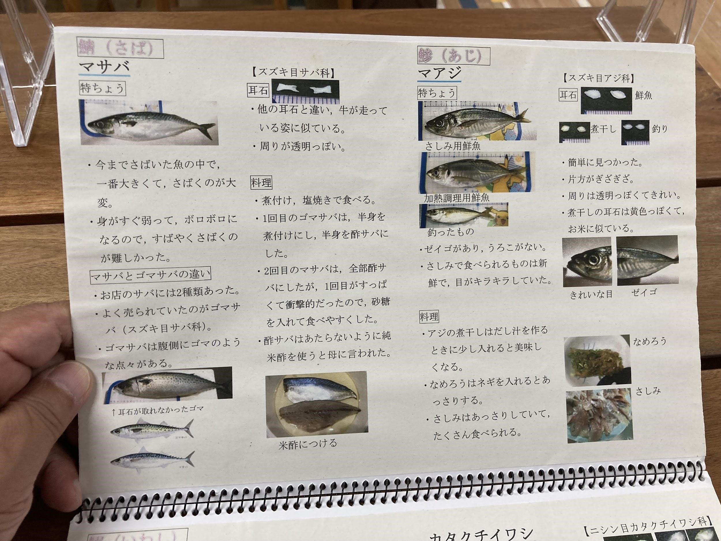 シリーズ 耳石ハンターのすすめ 美味しく 楽しく お魚を食べる 魚食普及推進センター 一般社団法人 大日本水産会 シリーズ 耳石ハンターのすすめ 美味しく 楽しく お魚を食べる 魚食普及推進センター 一般社団法人 大日本水産会