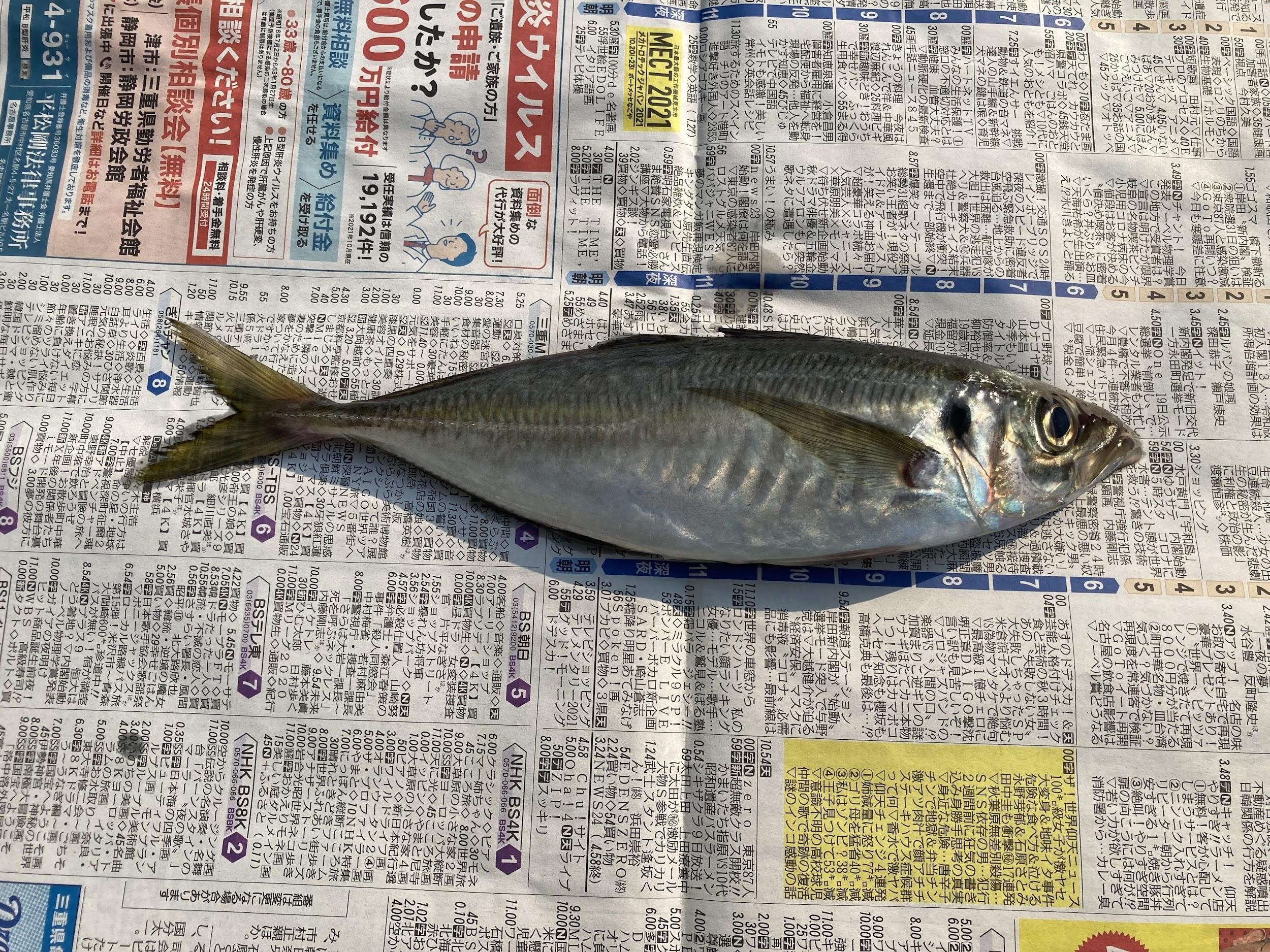 さかなの魚拓 ぎょたく 体験学習 魚食普及推進センター 一般社団法人 大日本水産会