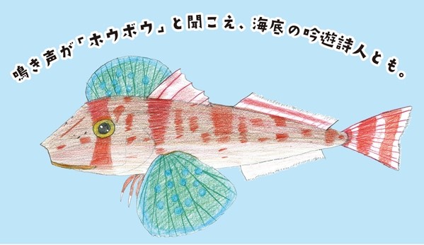 メルマガ ととけんの 魚の知識の腕試し 21 01 21 12 魚食普及推進センター 一般社団法人 大日本水産会