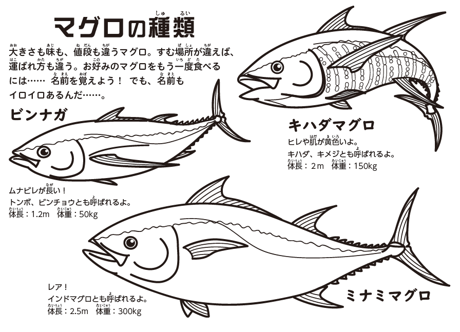 まぐろぬりえ 完成 魚食普及推進センター 一般社団法人 大日本水産会