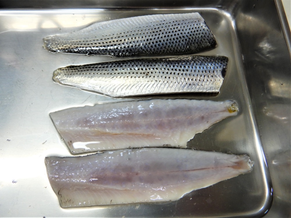 魚をさばく コノシロをさばく 江戸前 東京湾 魚食普及推進センター 一般社団法人 大日本水産会