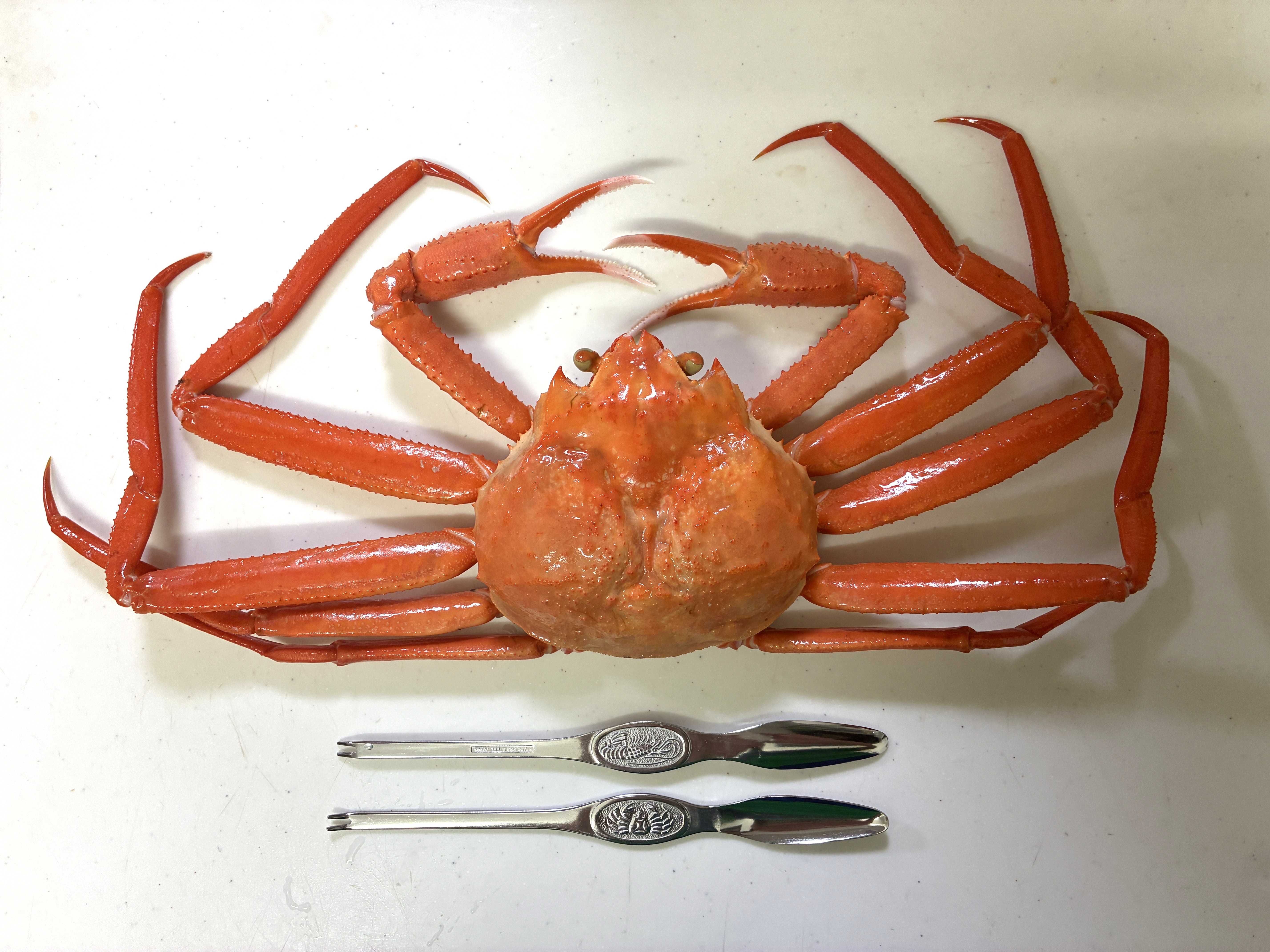 カニスプーンやカニフォークの正式名称は？ | 魚食普及推進センター 